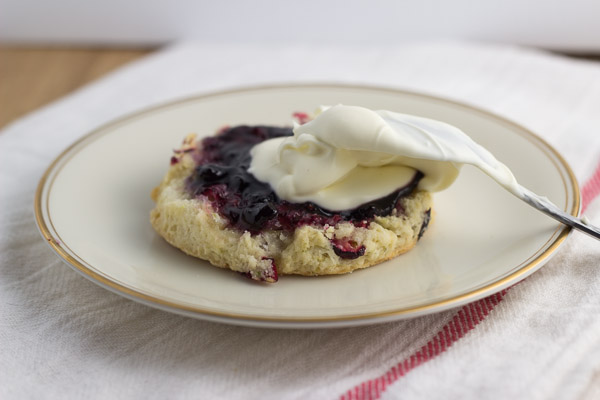 Cranberry Lime Scones | Ginger & Toasted Sesame