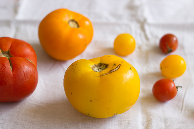 Fresh Tomato and Goat Cheese Mousse Tart | Ginger & Toasted Sesame