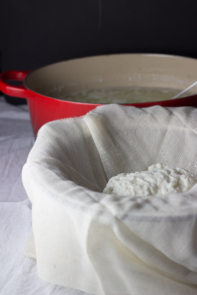 Goat's Milk Ricotta | Ginger and Toasted Sesame