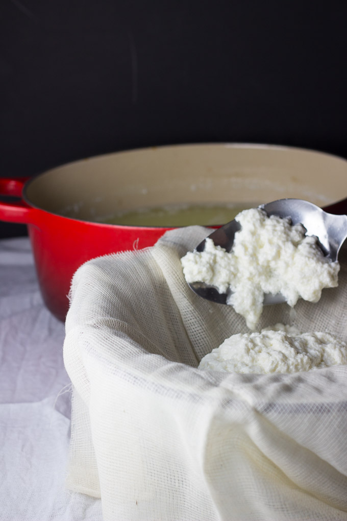 Goat's Milk Ricotta | Ginger & Toasted Sesame