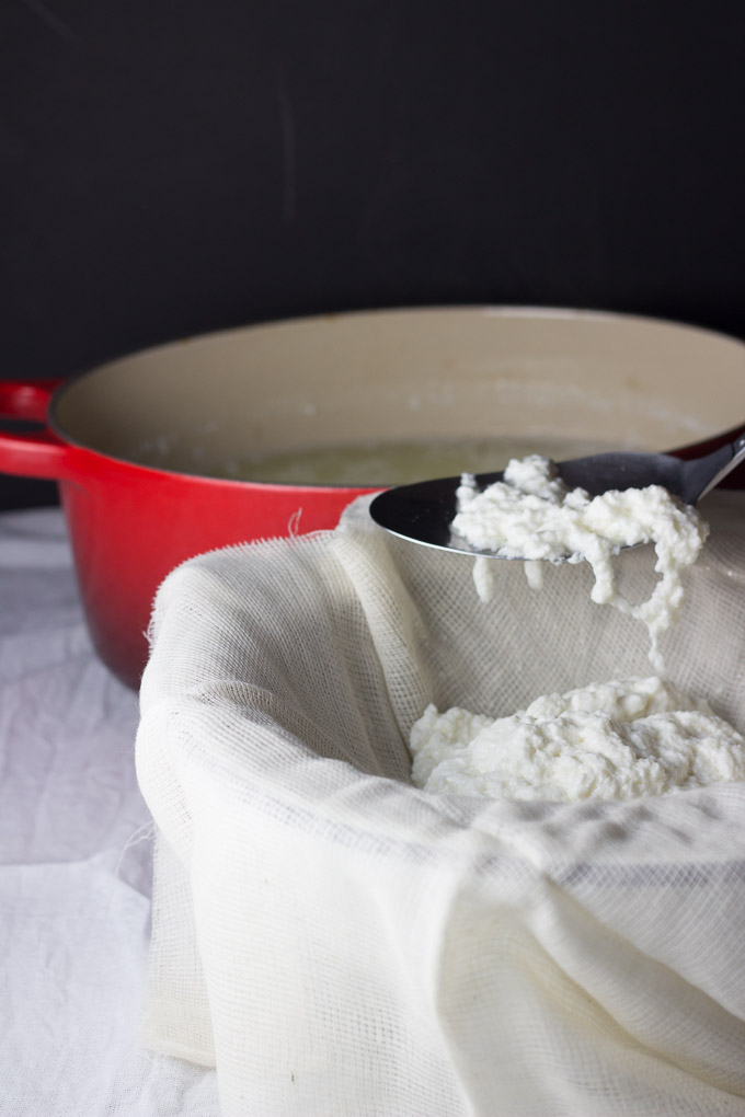 Goat's Milk Ricotta | Ginger & Toasted Sesame